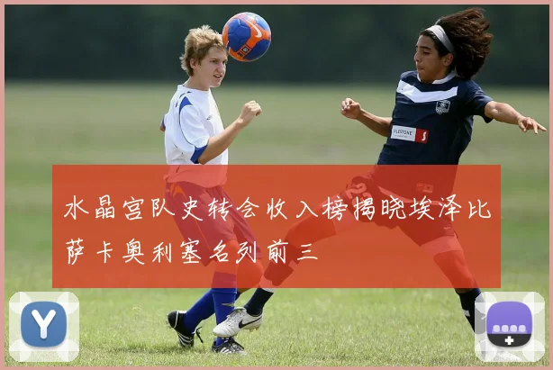 水晶宫队史转会收入榜揭晓埃泽比萨卡奥利塞名列前三