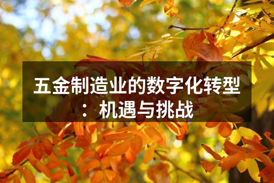 五金制造业的数字化转型：机遇与挑战