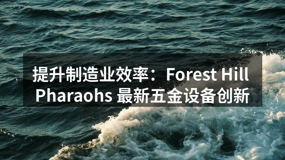 提升制造业效率:Forest Hill Pharaohs 最新五金设备创新