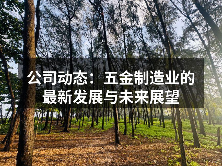 公司动态:五金制造业的最新发展与未来展望